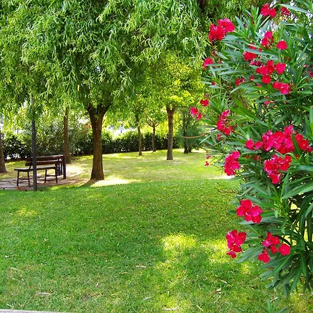 فيلة Salina روسولينا ماري