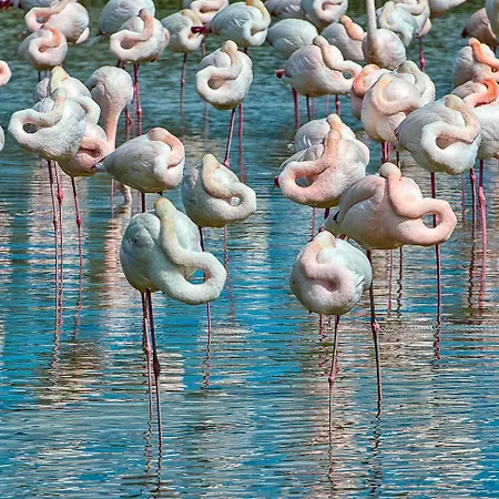 Villa Salina *