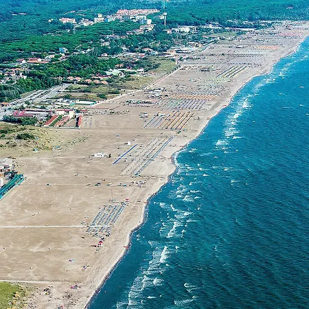 Salina *