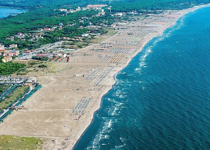 Salina *