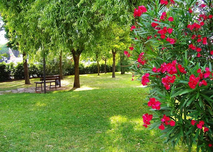 فيلة Salina روسولينا ماري